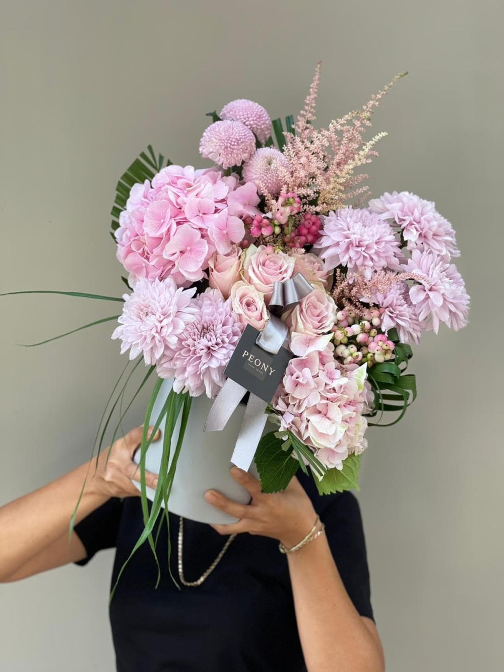 Pink Dream Hydrangea